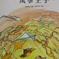 风筝王子，一本书