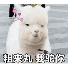 快乐周末解锁城市青年chill新方式,露营野餐/音乐节蹦迪/骑行玩滑板?今天一起“云”打卡↓