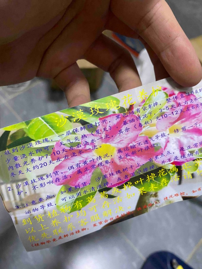 桃花流水盆栽