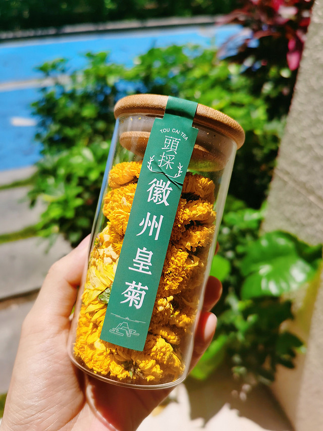 夏日清凉茶饮，绿满堂徽州皇菊菊花茶