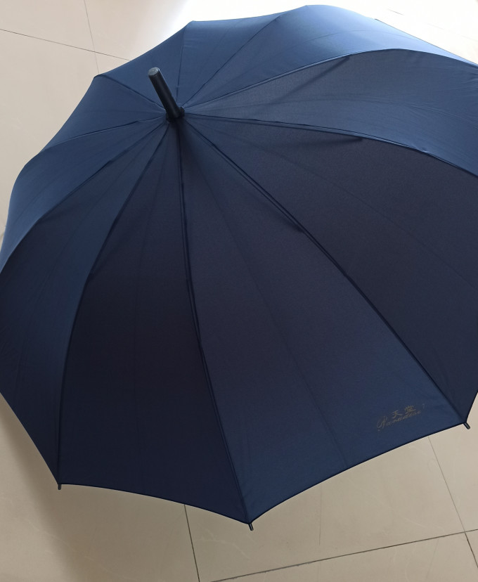 天堂伞雨伞