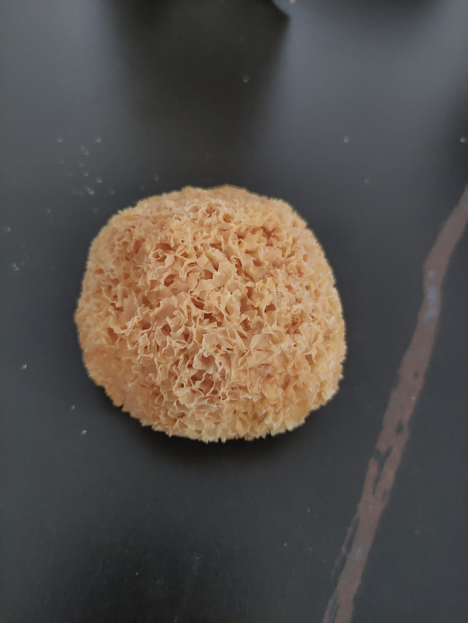十月稻田菌菇木耳