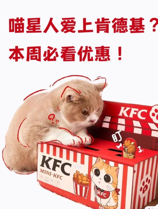 即日起限量发售：购肯德基指定套餐，获KFC限定版猫玩具