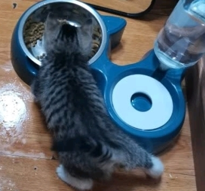 悠梵萌通用食具水具