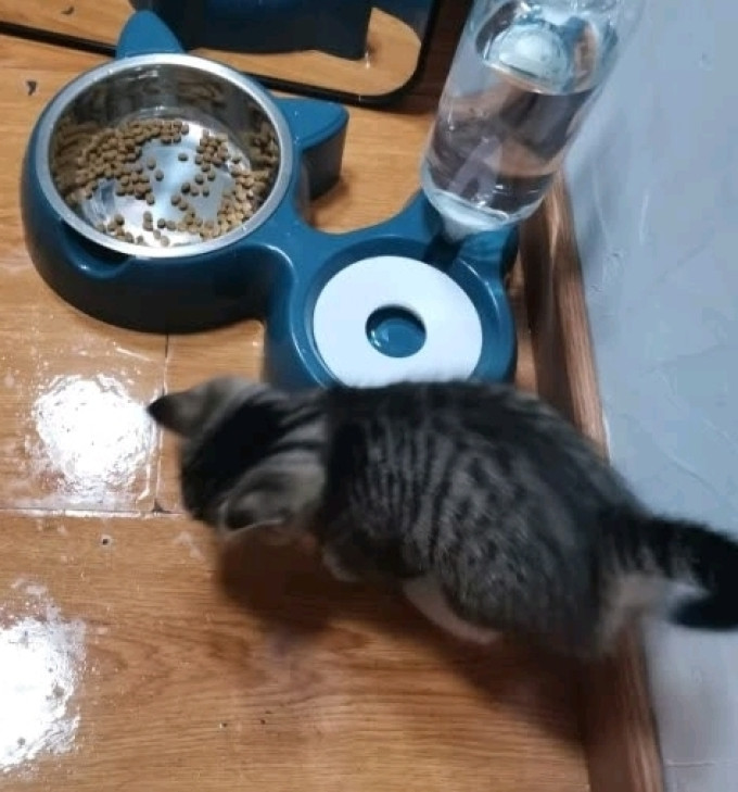 悠梵萌通用食具水具