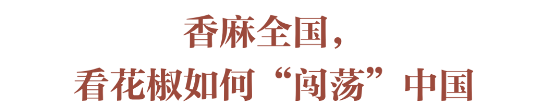 一颗花椒，开启你舌尖的“震动”模式