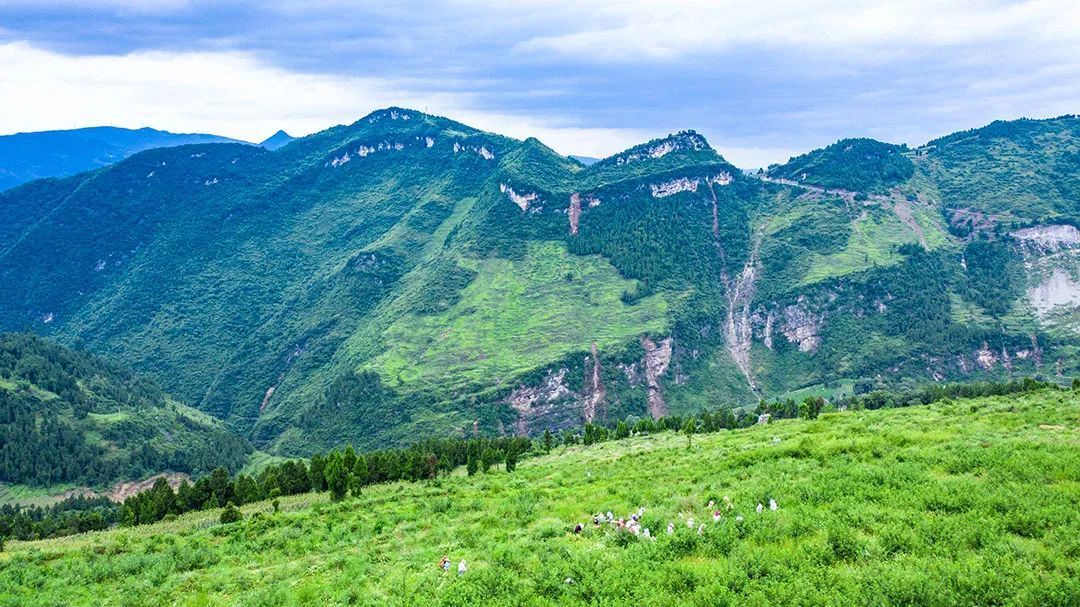 位于山东济南的莱芜花椒种植地 ©图源网络