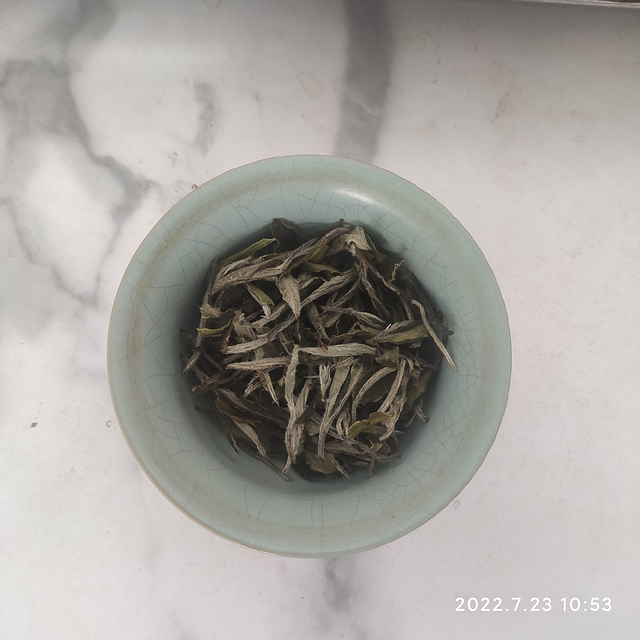 福安白茶之一级四川茶青白牡丹观赏之多图杀猫