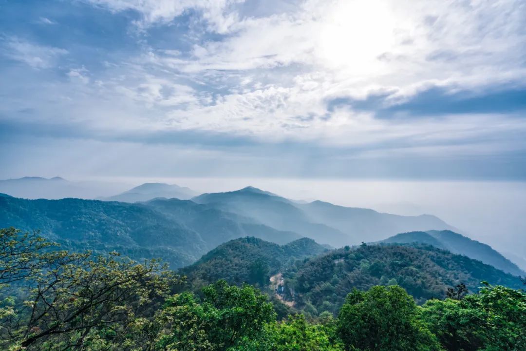 莫干山的景色好清新 ©图源网络 莫干山的景色好清新 ©图源网络