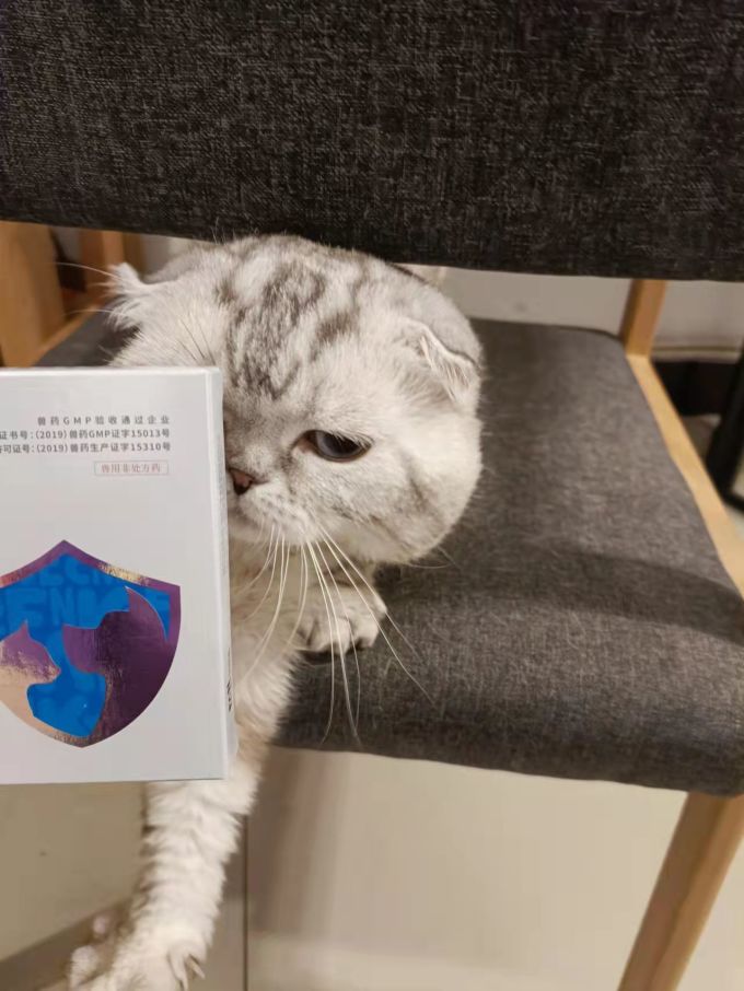 凡可奇猫咪驱虫