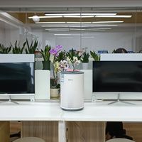 公共办公区的呼吸健康保障，小白微微真的绝