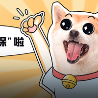 宠物看病比人还贵,不用破防,其实宠物也有“医保”!