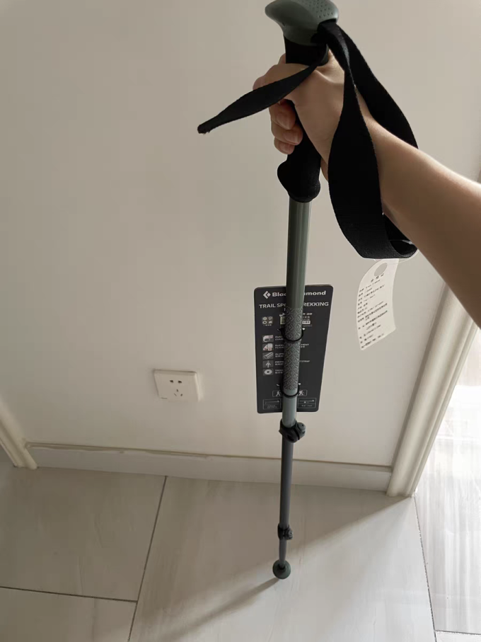手杖