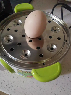 打工人早上的煮鸡蛋神器