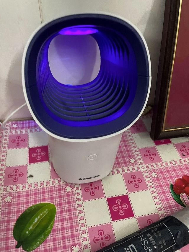 蚊子，哪里跑