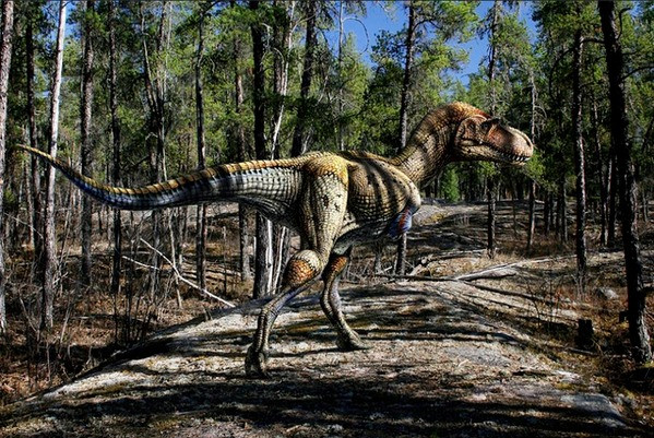 7700万年前的魔鬼龙化石以606.95万美元成交，又一具恐龙化石被拍卖