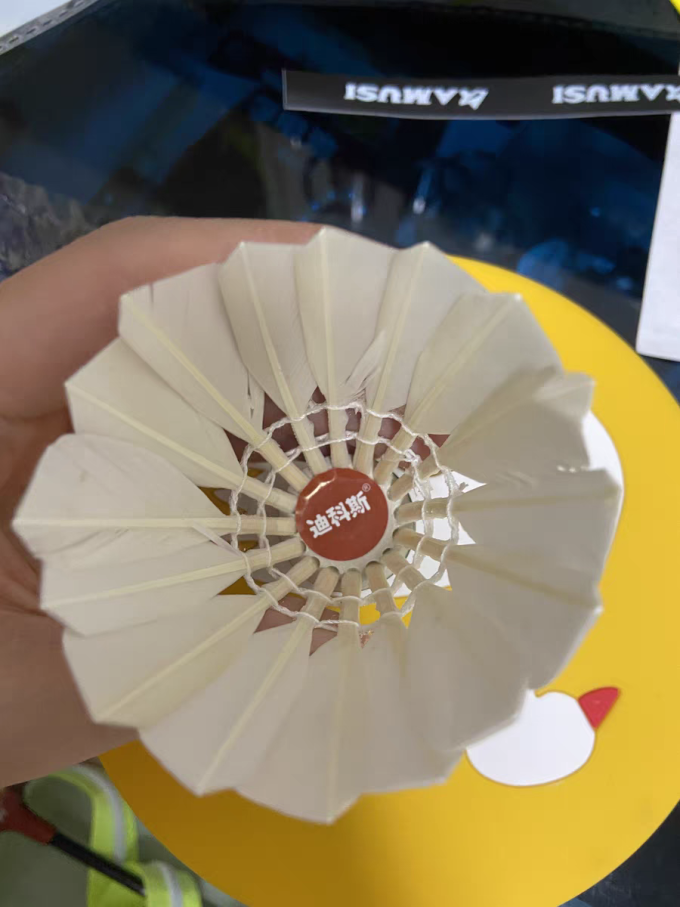 迪科斯羽毛球