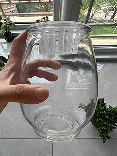 水培好帮手～玻璃水培器皿
