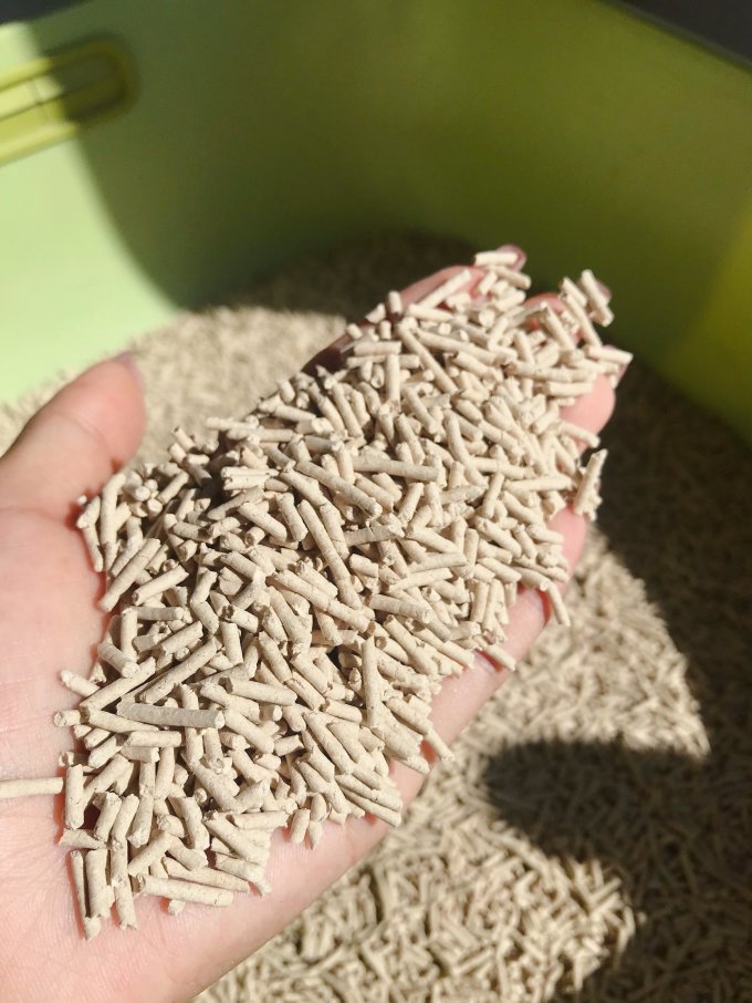 小炮儿猫砂