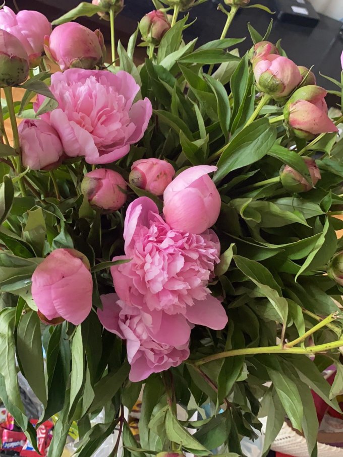 花点时间鲜花速递