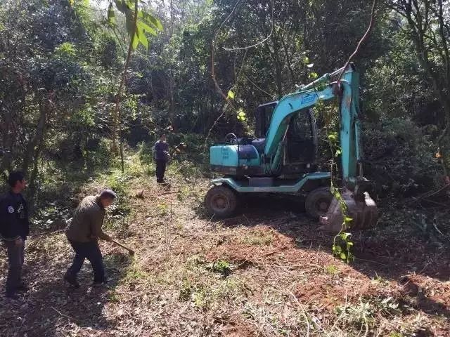 90后姑娘隐居山林，仅花6万就建出300㎡的别墅，把日子过成了诗！