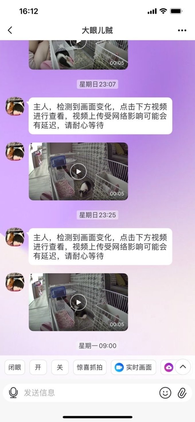 畅伴智能摄像机