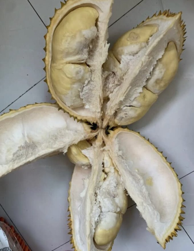 榴莲
