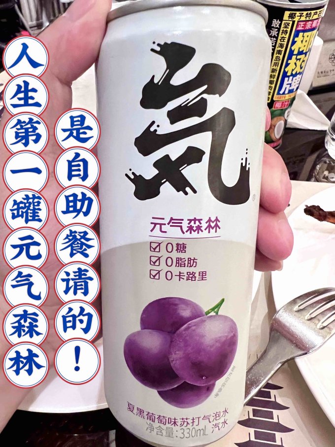 元气森林碳酸饮料