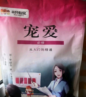 三只松鼠宠爱巨型零食大礼包20袋送礼物