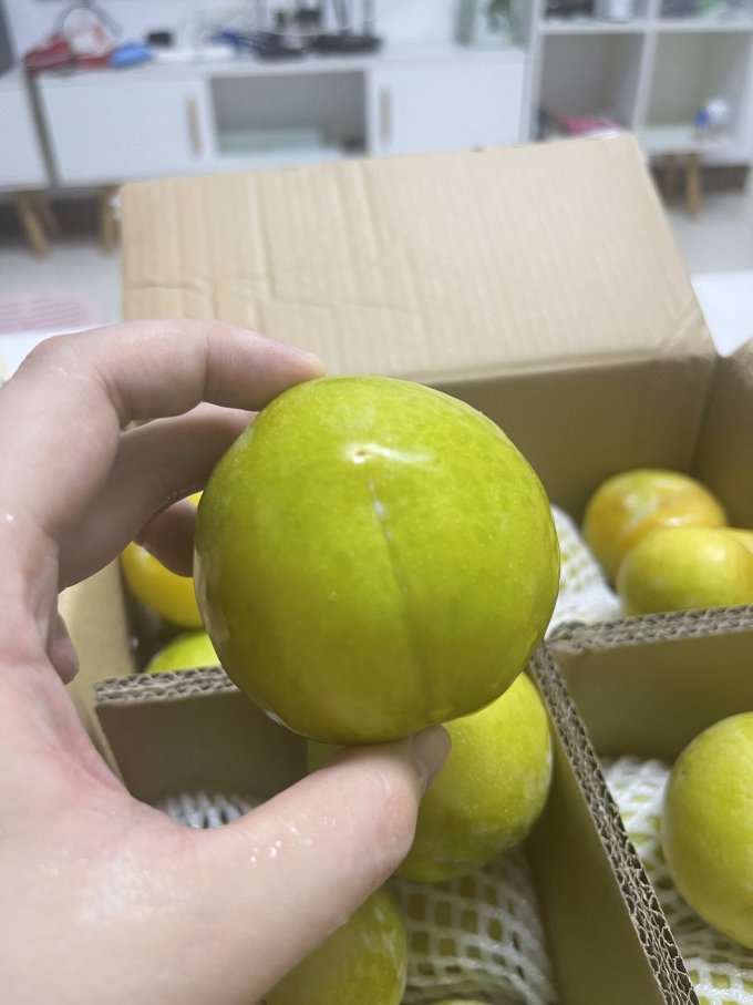 其他水果