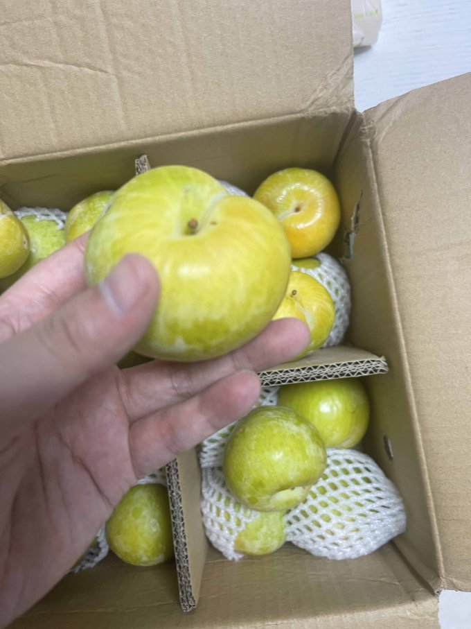 其他水果