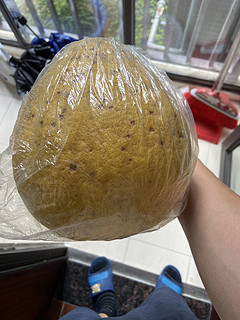 5块一斤的沙田柚，生根了还能吃吗？