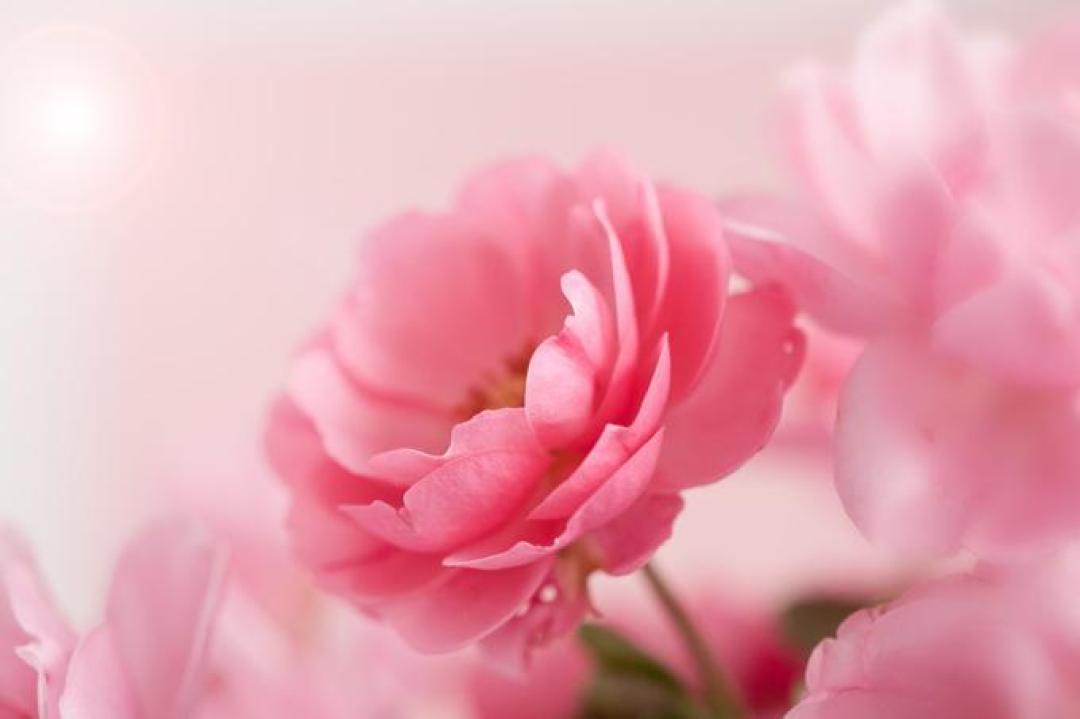 浪姐3成团夜“火龙果”造型💓谁更胜一筹?普通女孩怎样才能穿对粉色?