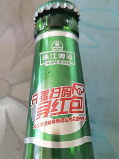 老广的最爱，珠江10度纯生啤酒