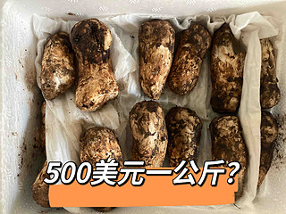 一公斤卖到过500美元？真·高端食材