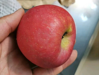佳农陕西洛川红富士苹果