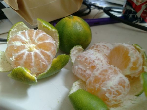 还未成熟的云南蜜橘(青)☞酸甜可口好回味