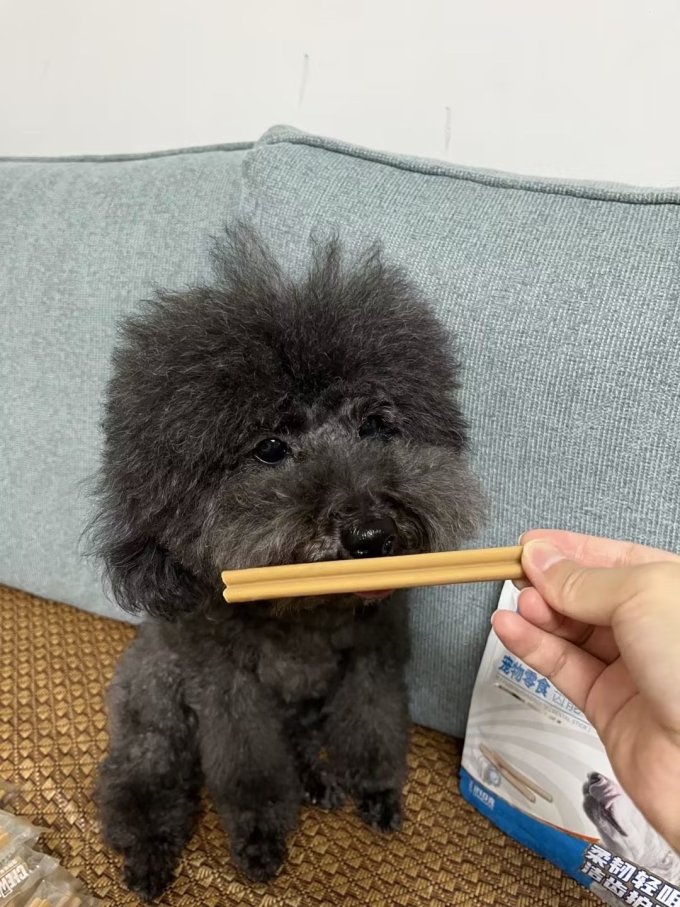齿能宠物零食