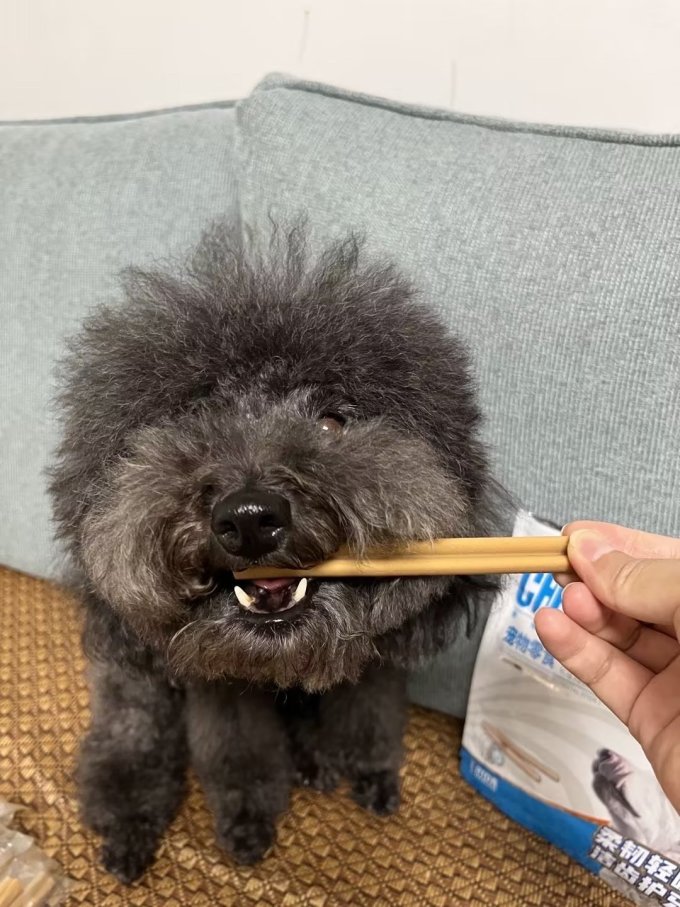 齿能宠物零食