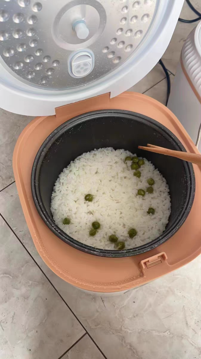 志高电饭煲