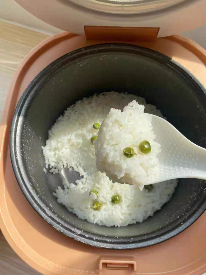 志高电饭煲