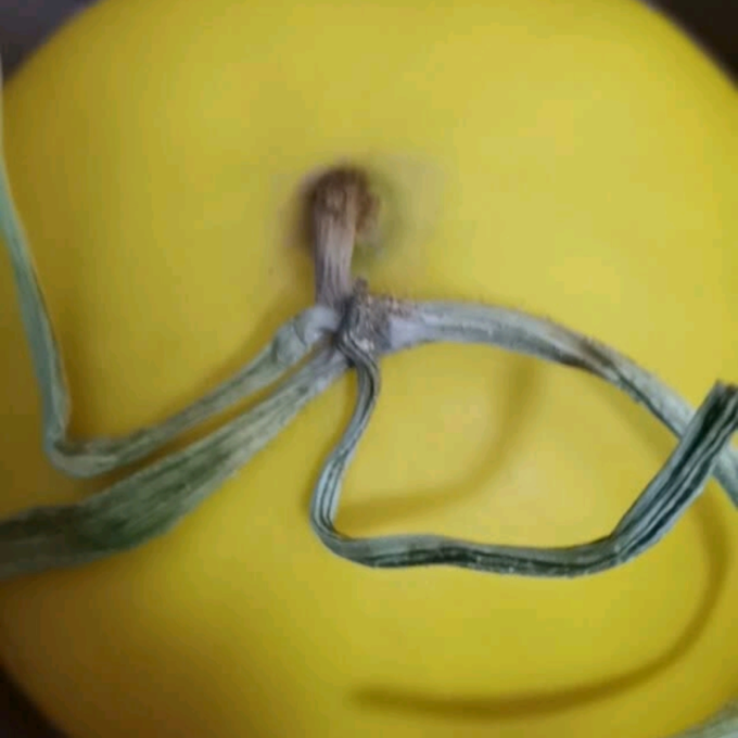 其他水果