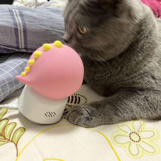 畅伴摄像头