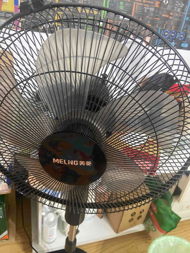 自然柔和，清凉过夏天