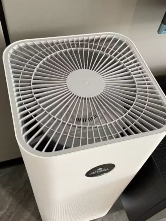 带来家中清新空气