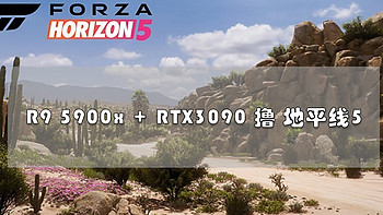 6.18购物分享 篇三：为了玩 《极限竞速：地平线5》给主力机升级RTX3090