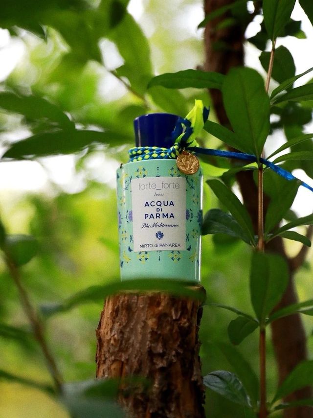 夏日狂吸的柑橘调香水