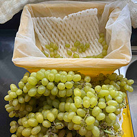 2022年第一颗无核清甜的新疆白葡萄