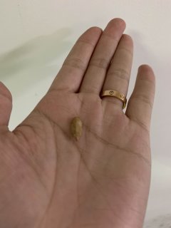 用手就能剥开的古法瓜子，据说比猪肉还贵