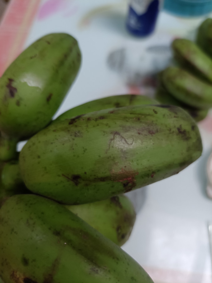 并蒂莲见过并蒂蕉第一次见